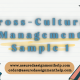 Cross-Cultural Management Sample 1