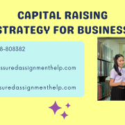CAPITAL RAISING STRATEGY FOR BUSINESS